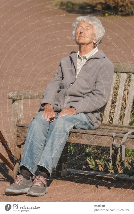 wärmende Strahlen Mensch feminin Frau Erwachsene Weiblicher Senior 1 60 und älter alt braun grau weiß Sonnenbad heizen Bankgebäude Farbfoto Gedeckte Farben
