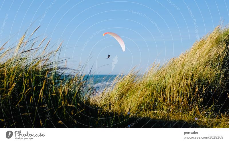 luftig | durch die mitte Freizeit & Hobby Sport 1 Mensch Natur Landschaft Urelemente Sand Wolkenloser Himmel Sommer Schönes Wetter Küste Nordsee fliegen