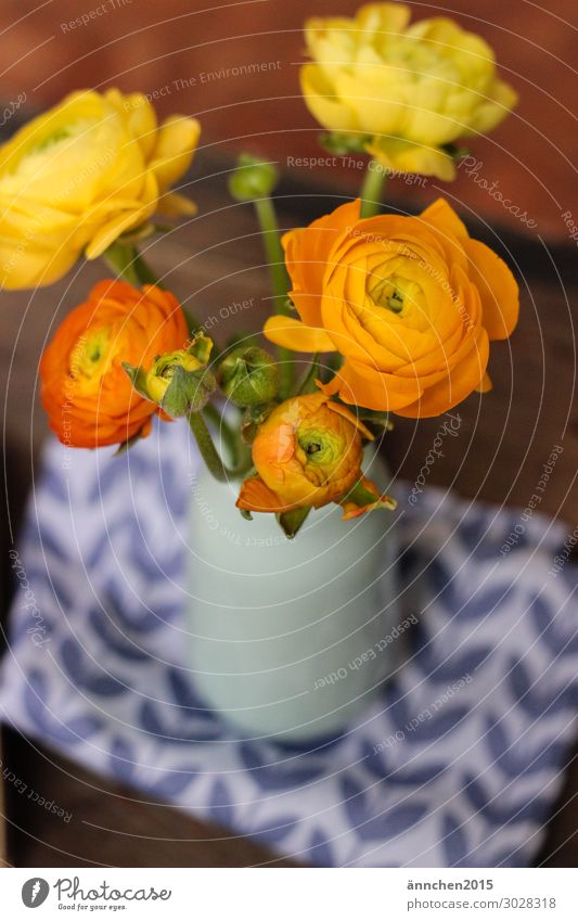 Hallo Frühling Scharbockskraut Blume Ostern Vorfreude Blüte Blumenstrauß Vase Innenaufnahme Stengel gelb orange