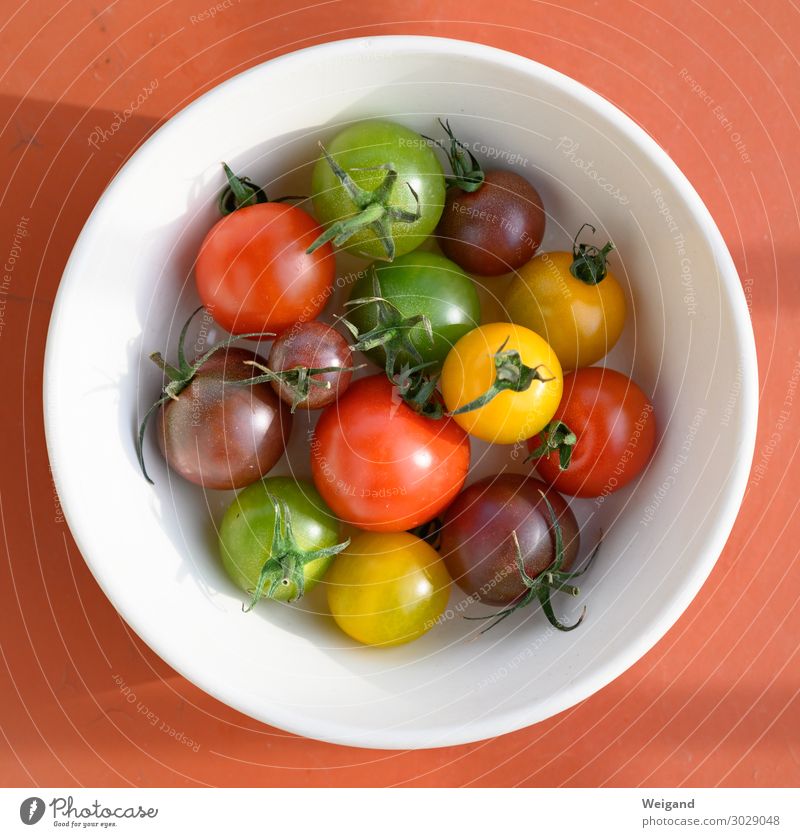 Tomaten Lebensmittel Gemüse Salat Salatbeilage Ernährung Abendessen Bioprodukte Vegetarische Ernährung Slowfood mehrfarbig gelb Begeisterung Sommer Vielfältig