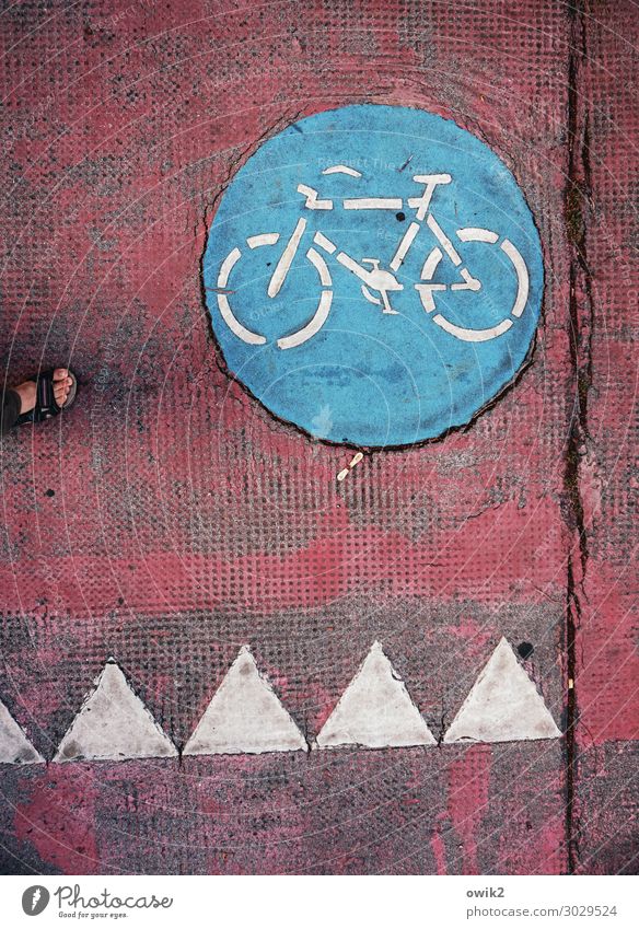 Zahnradbahn Verkehr Verkehrsmittel Verkehrswege Personenverkehr Fahrradweg Fahrzeug Zeichen Hinweisschild Warnschild rund unten Stadt blau rot