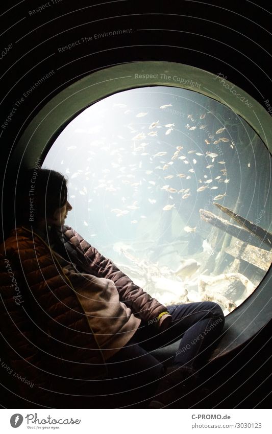 Mädchen sitzt am Fenster eines Aquariums Mensch 1 8-13 Jahre Kind Kindheit Wasser Jacke Wildtier Fisch Schwarm genießen sitzen ruhig Unterwasseraquarium