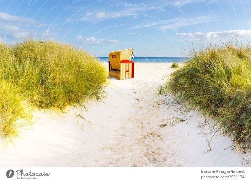 Aufgang Weg zum Strand an der Ostsee Freizeit & Hobby Ferien & Urlaub & Reisen Tourismus Sommer Sonne Meer Wellen Landschaft Sand Wasser Wolken Frühling Herbst