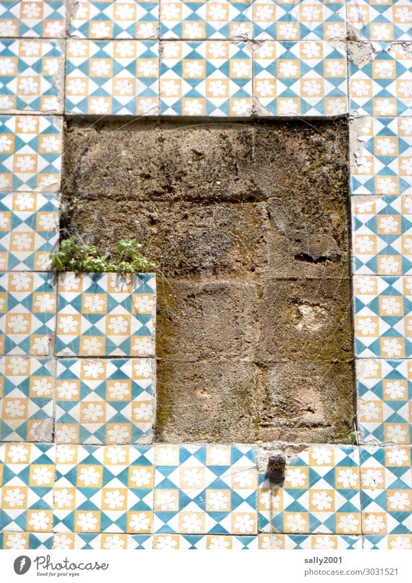 Tatort | Fliesendiebstahl... Kacheln Wand Fliesen u. Kacheln Loch Azulejo Lissabon Portugal Fassade Mauer alt brüchig renovierungsbedürftig Verlust Altstadt