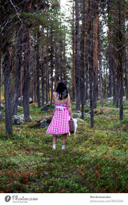 Verlaufen im Wald Ferien & Urlaub & Reisen Ausflug wandern Mensch feminin Junge Frau Jugendliche Erwachsene Natur Landschaft Urelemente Baum Gras Moos