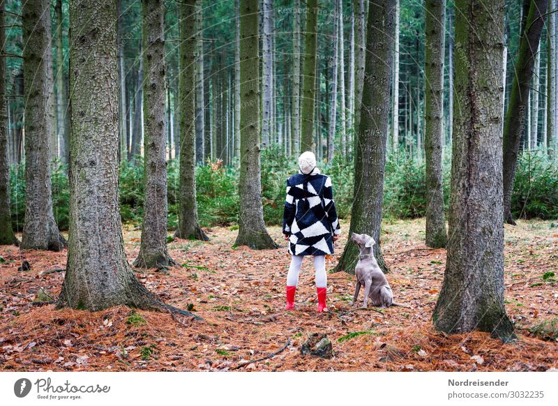 Waldspaziergang harmonisch Sinnesorgane ruhig Meditation Freizeit & Hobby Mensch feminin Frau Erwachsene Natur Landschaft Frühling Herbst Baum Mode Mantel