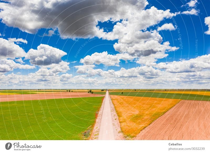 Landwirtschaftliche Felder in einem Dorf in Spanien. schön Sommer Kultur Natur Landschaft Pflanze Gras Wiese Terrasse Fluggerät Wachstum oben grün Farbe Osten