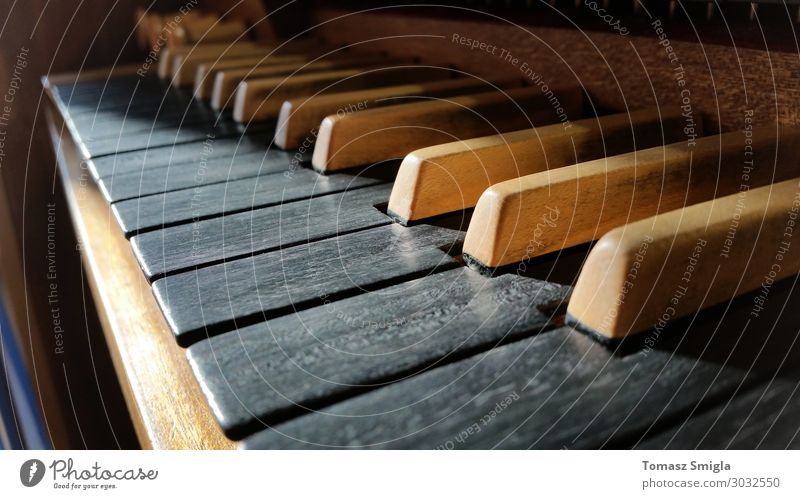Altes Musikinstrument aus Holz Tastatur Nahaufnahme, Pfeifenorgel Makro Kunst Konzert Chor Musiker Kirche Dom alt retro schwarz weiß Inspiration Perspektive