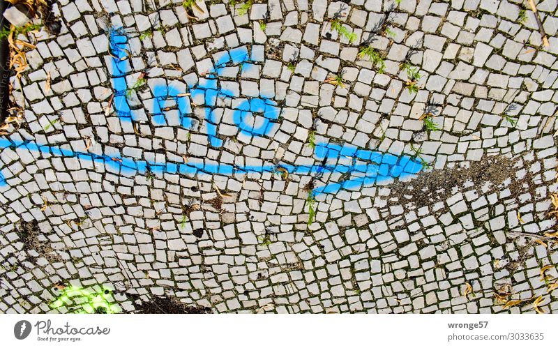 Info > Stadt Pflastersteine Pflasterweg Verkehrswege Wege & Pfade Stein Schriftzeichen Schilder & Markierungen Graffiti schreiben blau grau Farbe steinig