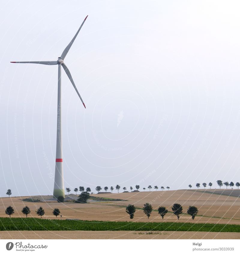 große Windkraftanlage steht in einer Landschaft mit Feldern und winzig erscheinenden Bäumen Technik & Technologie Energiewirtschaft Erneuerbare Energie Umwelt