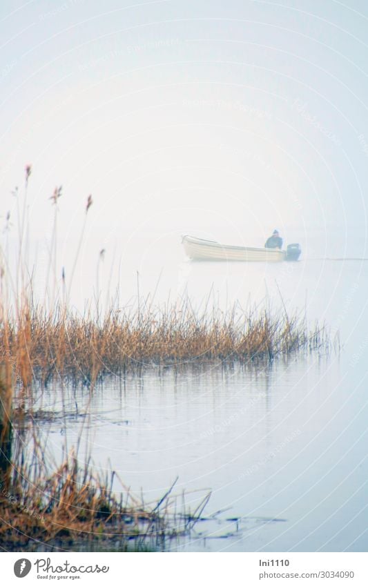 Fischer kehrt heim Seeufer blau gelb grau schwarz weiß Wasserfahrzeug Angeln Schilfrohr Usedom Morgen Nebelschleier Dunst Motorboot wiederkommen