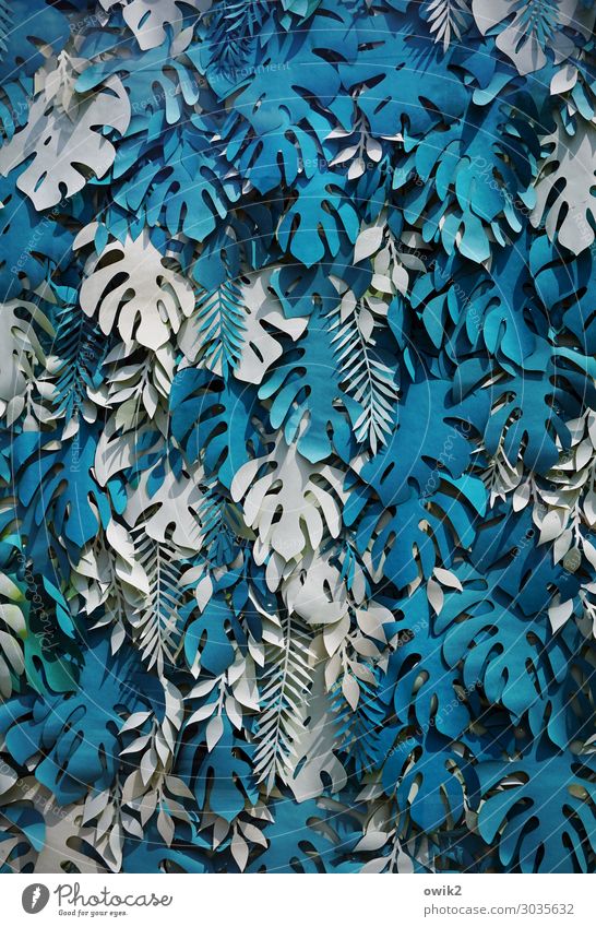 Eingebläut Fensterblätter Blatt exotisch Nachbildung ausgeschnitten Papier viele wild blau türkis weiß Design durcheinander selbstgemacht Anhäufung Sammelsurium
