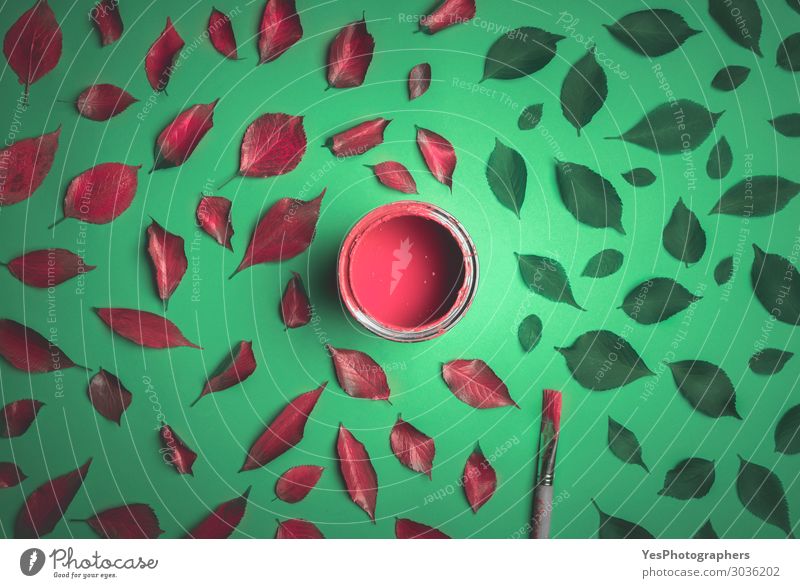 Rot lackierte Blätter auf grünem Grund. Design Glück Kunst Natur Pflanze Herbst Blatt trendy modern rot Farbe Idee Kreativität Surrealismus obere Ansicht