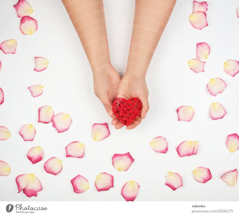weibliche Hände halten rotes Herz, weißer Hintergrund schön Haut Leben Spa Dekoration & Verzierung Feste & Feiern Valentinstag Mensch Frau Erwachsene Hand
