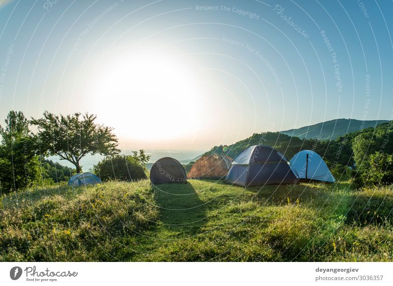 Viele Zelte im Berg. Sonnenscheinmorgen im Wald. Lifestyle Freude Erholung Freizeit & Hobby Ferien & Urlaub & Reisen Tourismus Abenteuer Camping Sommer