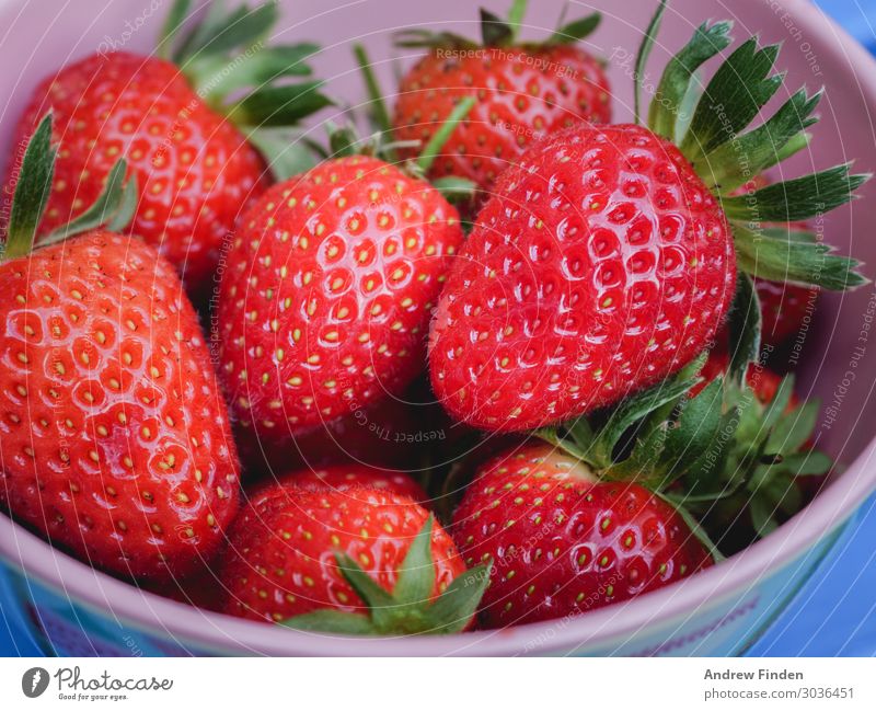 Schale mit Erdbeeren Frucht Gesunde Ernährung Pflanze Diät frisch Gesundheit lecker saftig rot Sommer reif Farbfoto mehrfarbig Nahaufnahme Detailaufnahme