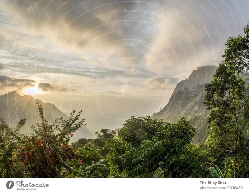 Sonnenaufgang in Ella, Sri Lanka Natur Landschaft Erde Sonnenuntergang Klima Schönes Wetter Wald Berge u. Gebirge ella wandern natürlich mehrfarbig selbstbewußt