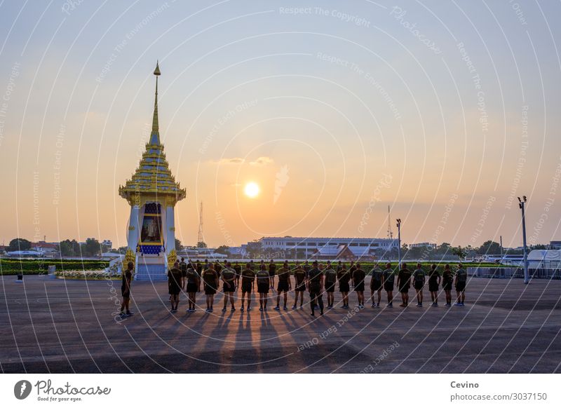 Sport frei! Mensch maskulin Mann Erwachsene Menschengruppe Thailand Militär Armee üben Drill gehorsam Sonnenuntergang Sport-Training Fitness Gruppenzwang