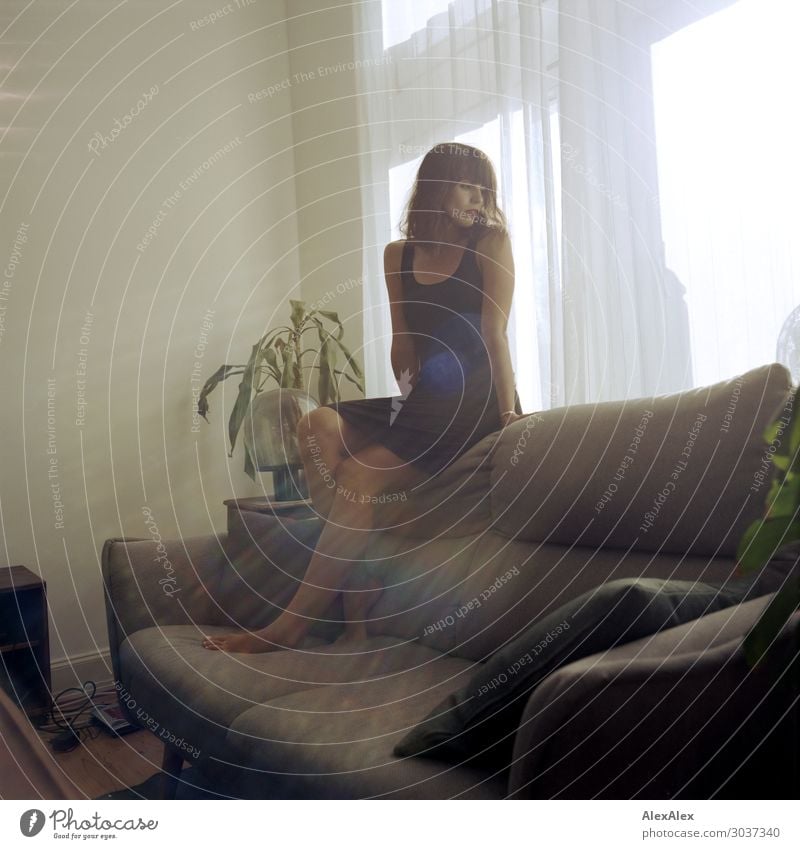 Junge Frau sitzt auf Couch im Wohnzimmer Lifestyle Stil schön Zufriedenheit Wohnung Möbel Sofa Jugendliche 18-30 Jahre Erwachsene Grünpflanze Fenster Kleid