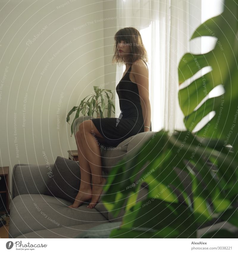 Junge Frau sitzt auf Couch im Wohnzimmer Lifestyle Stil schön harmonisch Wohnung Sofa Jugendliche Beine 18-30 Jahre Erwachsene Grünpflanze Zimmerpflanze Kleid