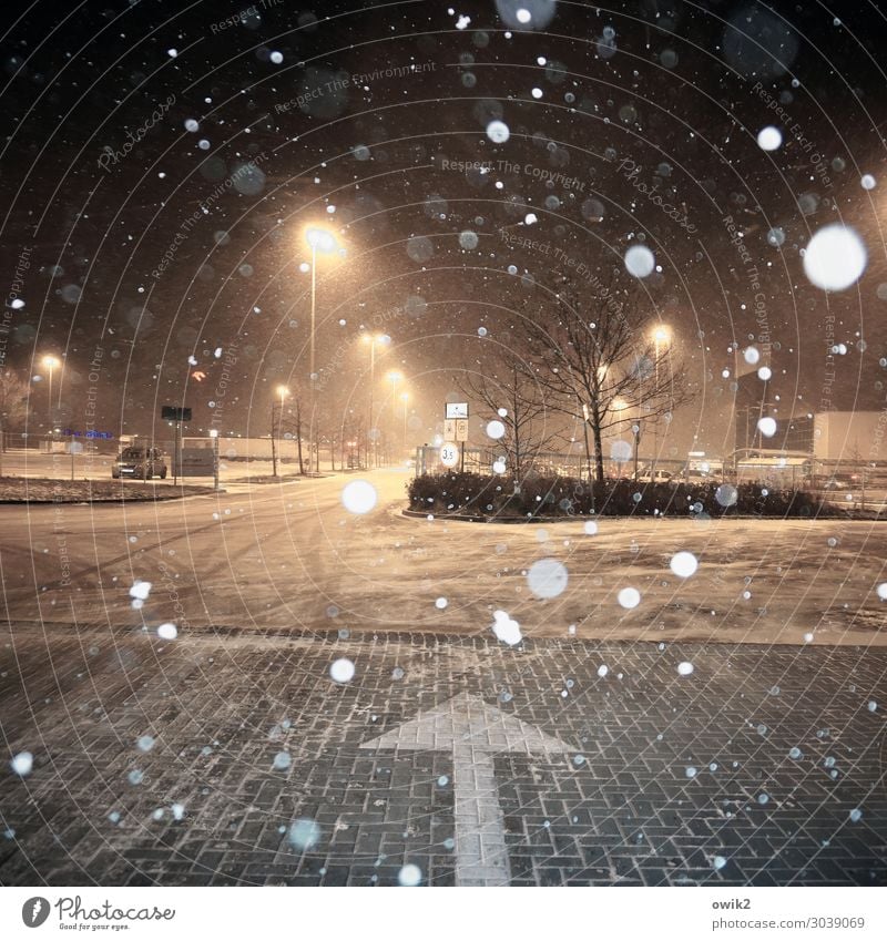 Schneit schon wieder Winter Schönes Wetter Schnee Schneefall Baum Sträucher Polen Osteuropa Verkehr Parkplatz Parkplatzbeleuchtung Straßenbeleuchtung