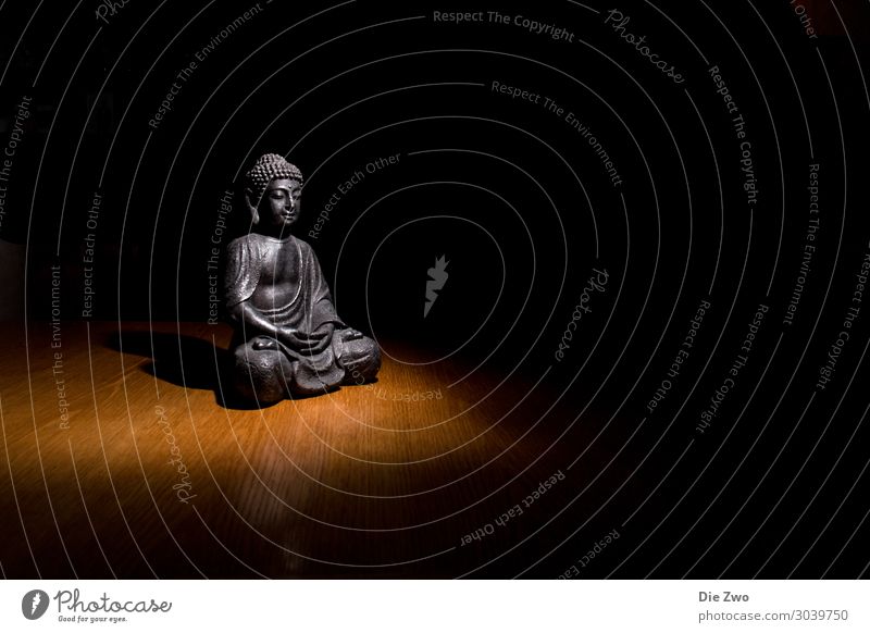 Buddha Lifestyle Stil Design Erholung ruhig Meditation Dekoration & Verzierung Akzeptanz Vertrauen Geborgenheit Mitgefühl gehorsam friedlich Opferbereitschaft