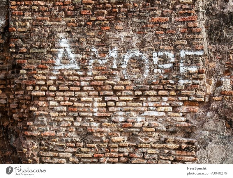 Historic graffito Mauer Wand Schriftzeichen alt Coolness positiv Stadt rot weiß Liebe Verliebtheit Romantik Begierde Backstein Backsteinwand Amore Patina