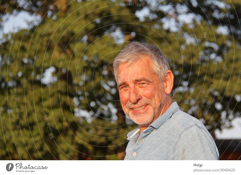 Porträt eines lächelnden Seniors mit grauen Haaren und grauem Dreitagebart in der Abendsonne Mensch maskulin Mann Erwachsene Männlicher Senior 1 60 und älter