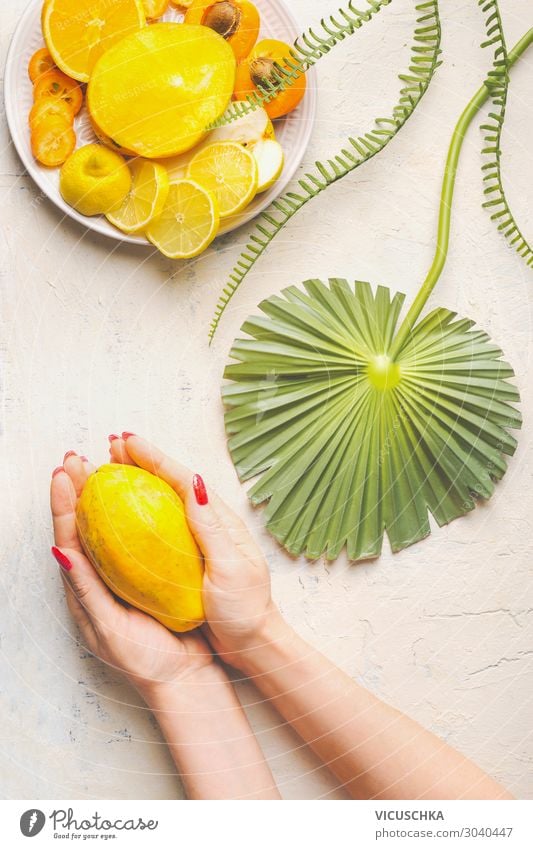 Frauenhände halten Mango Lebensmittel Frucht Ernährung Bioprodukte Diät kaufen Design Sommer Tisch Erwachsene Hand gelb Vitamin Frühstück exotisch Palmenwedel