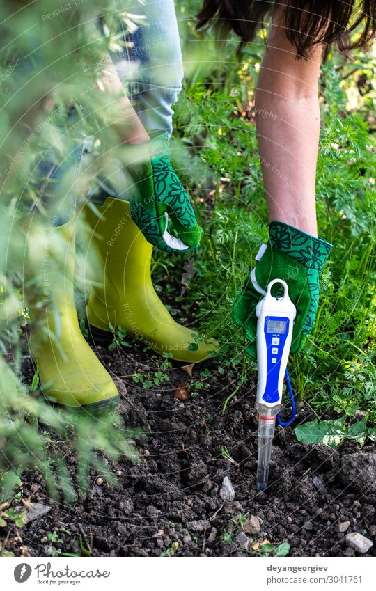 PH-Meter-Tester im Boden. Messen Sie den Boden mit einem digitalen Gerät. Garten Labor Prüfung & Examen Werkzeug Technik & Technologie Umwelt Pflanze Erde