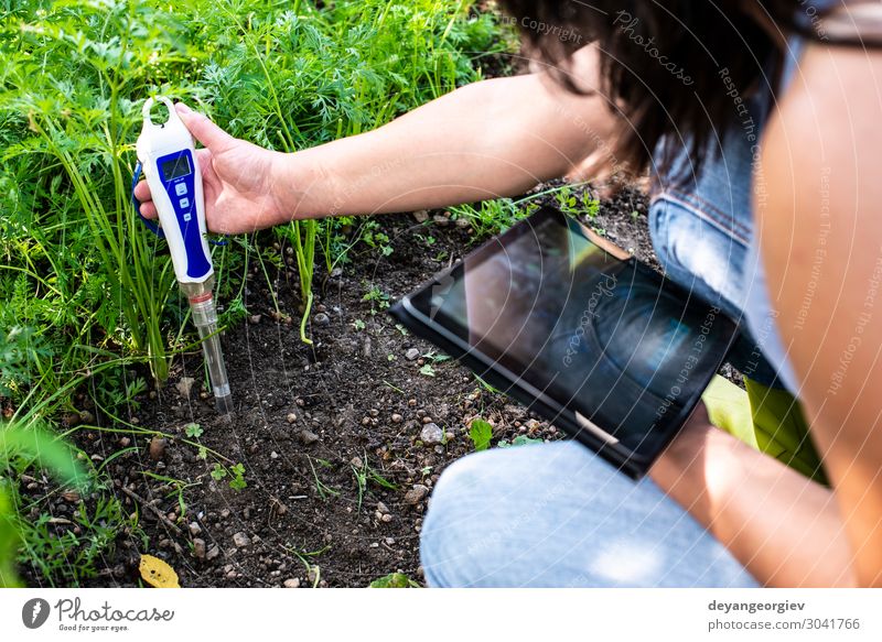 PH-Meter-Tester im Boden. Bodenmessung mit Digitalgerät Garten Labor Prüfung & Examen Werkzeug Technik & Technologie Frau Erwachsene Umwelt Pflanze Erde Schutz
