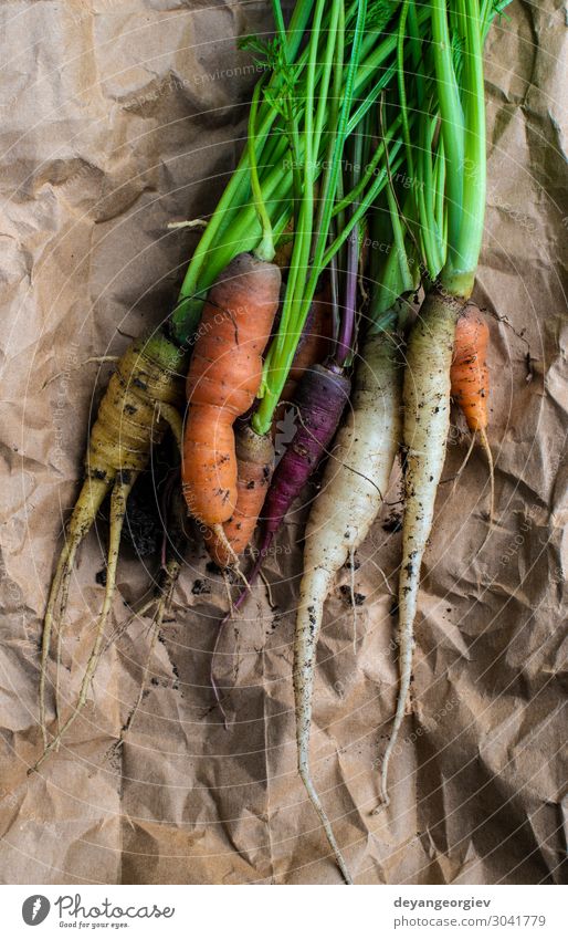 Karotten von einem kleinen Bio-Bauernhof. Gemüse Ernährung Vegetarische Ernährung Diät Garten Gartenarbeit Pflanze Erde Papier Wachstum dreckig frisch natürlich