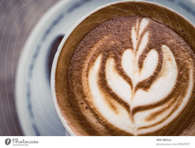 Eine Nahaufnahme eines Cappuccinos aus der Nähe Kaffee Espresso Latte Getränk trinken heiß Schaum Rosette Barista Kunst