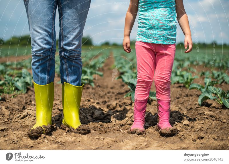 Frau und Kind auf der Kohlplantage. Gemüse Kindererziehung Gartenarbeit Mensch Erwachsene Paar Kindheit Umwelt Landschaft Pflanze Erde Stiefel Wachstum Ackerbau