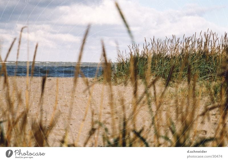Wie das Land, so das ... Meer Strand Küste Düne Stranddüne Nordsee Wind Wasser Sand Wolken Himmel Wellen Ferne Gras Ostsee