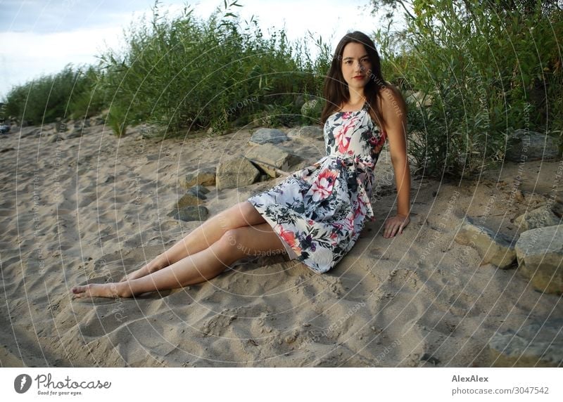 Junge Frau sitzt am Strand Lifestyle Freude schön Leben Wohlgefühl Jugendliche Beine 18-30 Jahre Erwachsene Landschaft Sommer Schönes Wetter Sträucher Flussufer