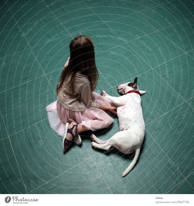 Mädchen mit Hund Parkett Fliesen u. Kacheln feminin 1 Mensch Kleid Jacke brünett langhaarig Tier Haustier bullterrier Terrier liegen sitzen träumen Leidenschaft
