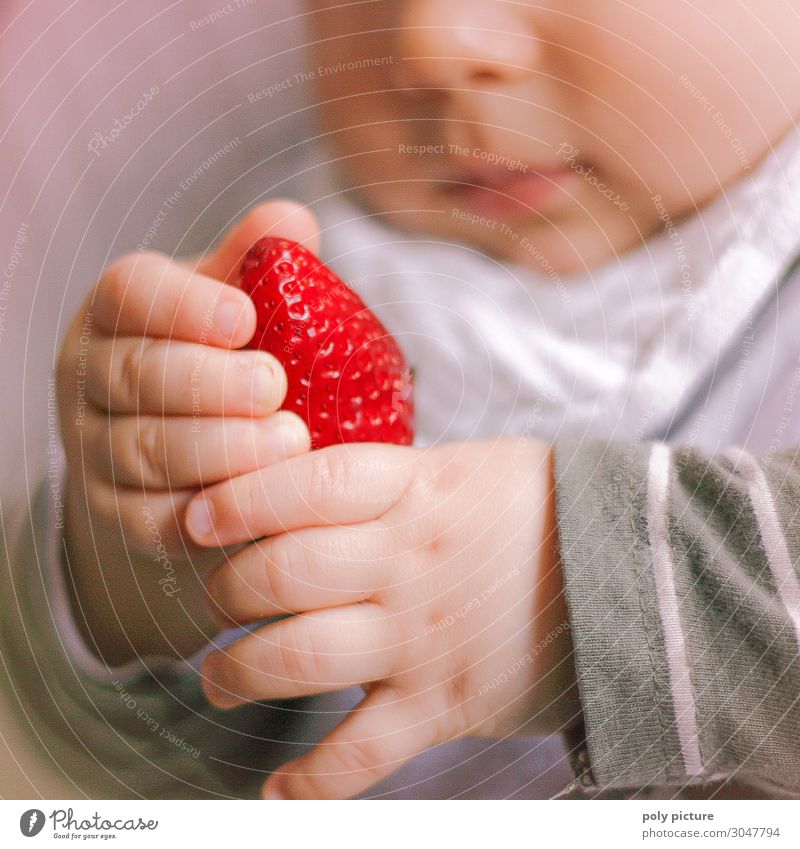 Baby spielt mit Erdbeere Lifestyle Gesundheit Gesundheitswesen Gesunde Ernährung Freizeit & Hobby Sommer Kind Familie & Verwandtschaft Kindheit Leben Hand