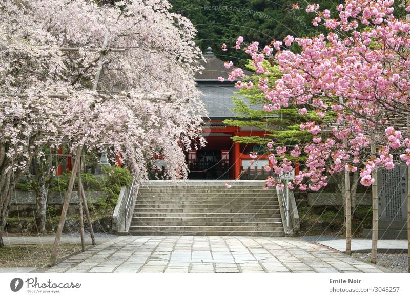 Okunoin Temple Koyasan Japan Dorf Gebäude Tempel Wahrzeichen Weisheit Reinheit bescheiden zurückhalten Kirschblüten Friedhof okunoin Farbfoto Außenaufnahme Tag