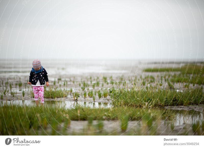 Mädchen steht mit den Füßen im Wasser der Nordsee und macht eine Wattwanderung Kind Urlaub niedlich Deutschland beobachten neugierig Wattenmeer Kleinkind