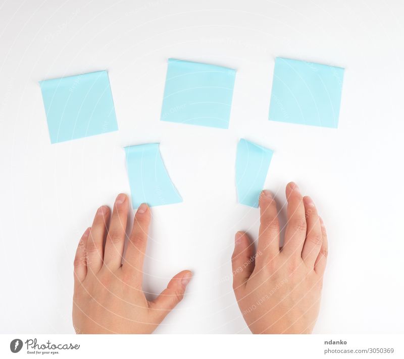 viele blaue Aufkleber auf weißem Hintergrund Büro Business Internet Mensch Frau Erwachsene Hand Finger Papier berühren Bewegung Farbe Idee Teamwork Strategie