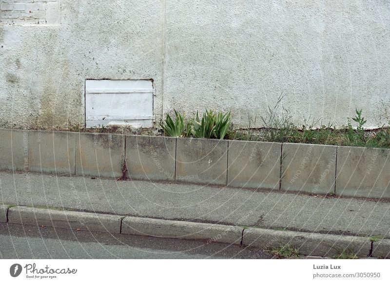 Strassenrand Kleinstadt Menschenleer Mauer Wand Straße alt dunkel trist grau grün weiß Traurigkeit Gras zartes Grün Putz Gedeckte Farben Außenaufnahme