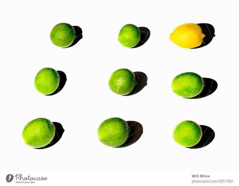 Limetten und Zitronen im Raster Lebensmittel Zitrusfrüchte Frucht Limone grün gelb einfach sehr wenige Hintergrund neutral arrangiert Sommer