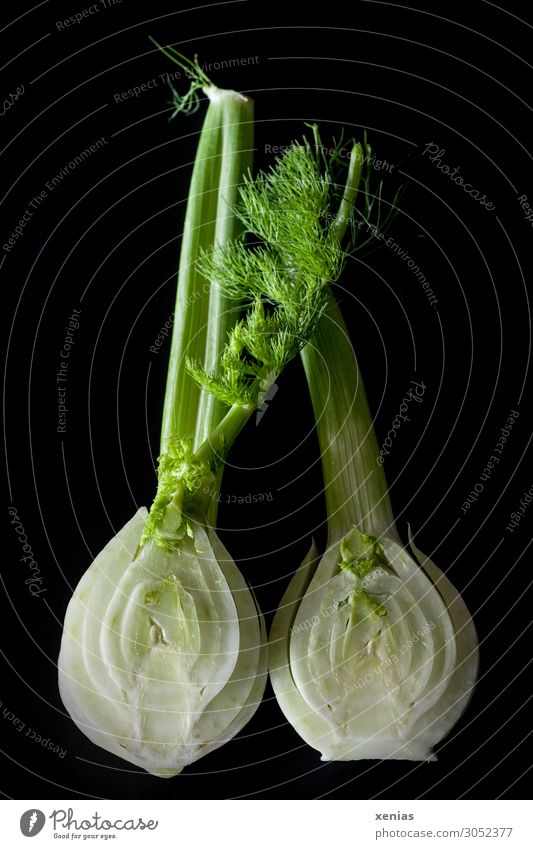 Fenchel, zwei Hälften vor schwarzem Hintergrund Gemüse Ernährung Bioprodukte Vegetarische Ernährung Gesunde Ernährung frisch Gesundheit lecker grün weiß