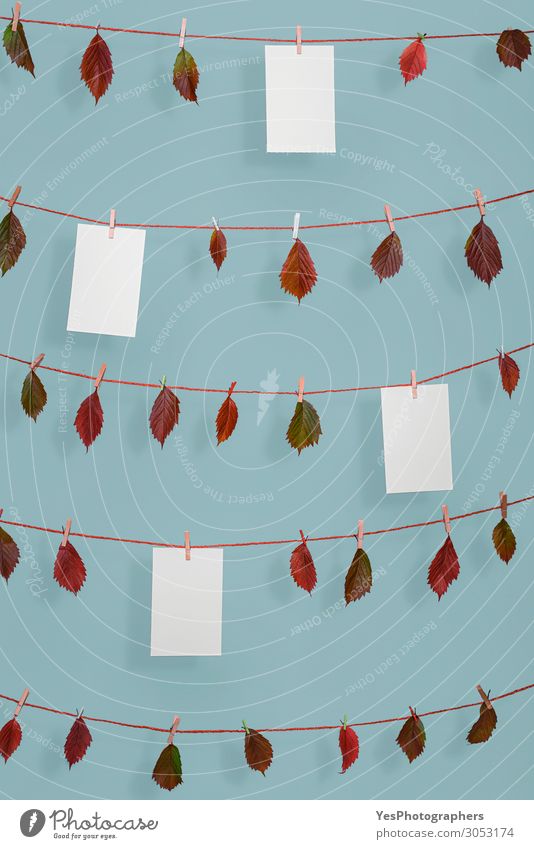 Herbstblätter und leere Papierblätter auf Schnur Seil Natur Pflanze Blatt Ornament retro rot Ordnung November Oktober Hintergrund blanko blaue Wand Wäscheleine