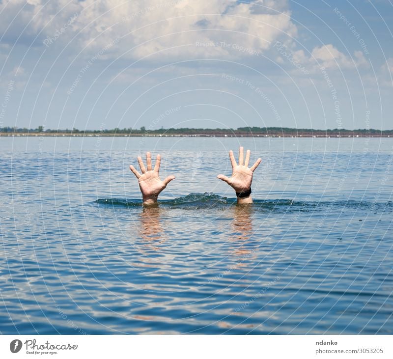ein Paar männliche Hände ragt aus dem Meerwasser heraus. Sommer Mensch Mann Erwachsene Arme Hand Finger 18-30 Jahre Jugendliche Natur Fluss