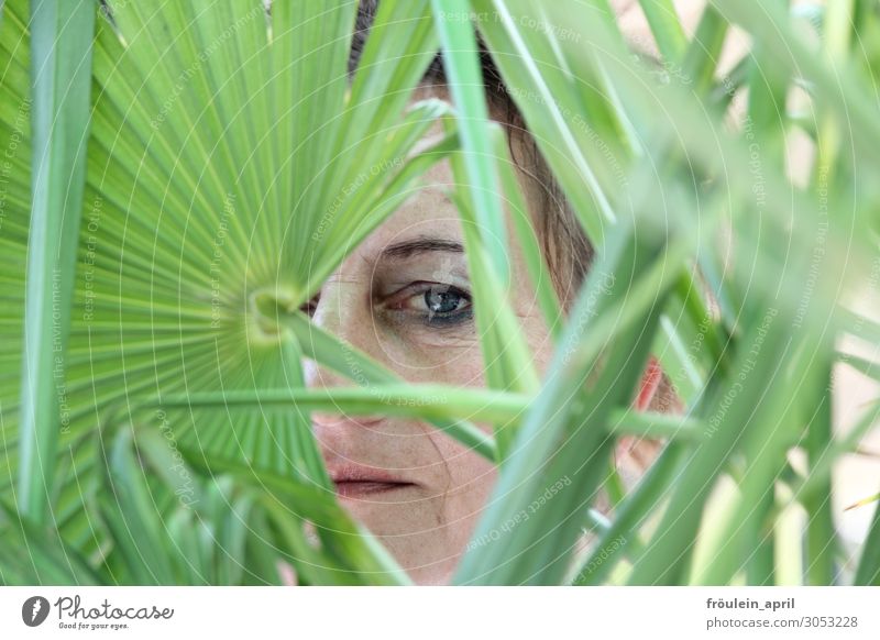 Nr 201 Sommer Sommerurlaub feminin Frau Erwachsene Gesicht Mensch Natur Blatt Grünpflanze grün Farbfoto Außenaufnahme Porträt Blick in die Kamera