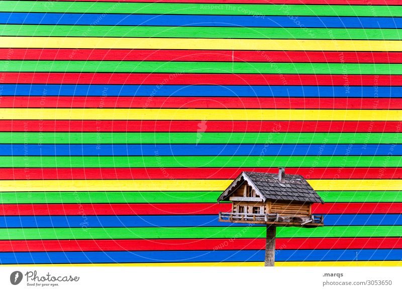 Eigenheim Stil Design Haus Traumhaus Einfamilienhaus Linie alt außergewöhnlich klein neu mehrfarbig Häusliches Leben Futterhäuschen Farbfoto Außenaufnahme