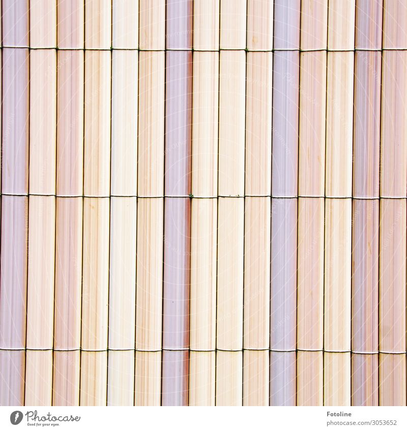 Zaun Holz hell Pastellton gebunden Bambus Bambuszaun rosa beige Farbfoto mehrfarbig Außenaufnahme Menschenleer Tag Licht