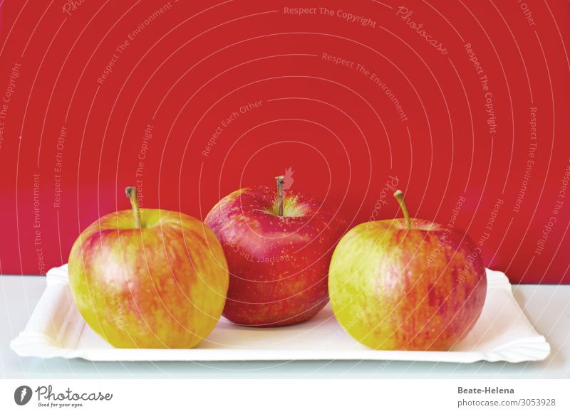 An Apple a Day .. Lebensmittel Frucht Apfel Ernährung Bioprodukte Vegetarische Ernährung Schalen & Schüsseln Lifestyle Gesundheit Gesunde Ernährung Kunstwerk